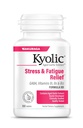 Kyolic Aged 마늘 추출물 공식 101, 스트레스 및 피로 구호, 100 정제.