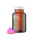 Native Formulas Restore 3 Proteolytic Enzyme & Spore Probiotic Blend Supplement - 60 캡슐 - 고급 Biofilm Disruption Aid - 지원 GI 건강, Fibromyalgia, Gut Flora, 근육