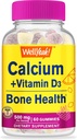 WellYeah 칼슘 500mg + 비타민 D3 1000 IU (25 mcg) Gummies - 뼈 건강 및 근육 공급, 면역 지원 거미, 비 GMO, 글루텐 무료, 혼합 과일 맛 - 60 구미