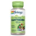 SOLARAY Hawthorn Berry 캡슐 1050 mg - Soothing 초본 지원 - 전체 웰빙 지원을위한 Hawthorne Berry 보충 - 전체 Berry, Vegan, Non-GMO, 60 일 보증, 50 서빙, 100 VegCaps