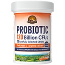 Vitalitown Probiotics 120 억 CFUs, 36 Strains, Prebiotics, 남성 여성을위한 소화 효소, 지연 방출, 선반 안정, 이동 소화 지원, 30 Veg Caps