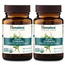 히말라야 유기 Gymnema Sylvestre – 초본 포도당 대사 지원 - USDA 유기, 비 GMO, Vegan, 글루텐 무료, 첨가제 무료, 700 mg, 30 캡슐 (포장 2)