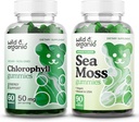야생 & 유기 클로로필 Gummies & 바다 Moss Gummies