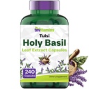 tnvitamins Holy Basil 캡슐 (1,600 mg 동등 - 240 캡슐) | 8 개월 공급 | AKA Tulsi | 스트레스 및 좌절 완화를 촉진 할 수 있습니다 | Adaptogenic, & Ayurvedic 허브