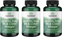 Swanson Lecithin Kelp B-6 및 Cider Vinegar 240 탭 (3 팩)