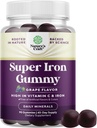 여성과 남성을 위한 여분 힘 철 Gummies - 더 높은 흡수를 위한 비타민 C를 가진 여성과 남자를 위한 서빙 Chewable 보충교재 당 유력한 45mg - Vegan 매일 철 Gummy 인공 풍미 없음
