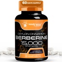 WELLNESS LABSRX Berberine 보충 15,000mg - Ceylon Cinnamon, 전반적인 웰빙 지원 캡슐 - 120 캡슐 (팩 1)