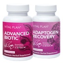Vital Plan Immune Support Supplements by Dr. Bill Rawls - Immune Boost 번들 w / Japanese Knotweed, 고양이의 클로, 중국 Skullcap & Reishi 버섯
