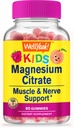WellYeah Magnesium Citrate Gummies for Kids - 아이들을위한 Chewable 스트레스 완화 보충 - 자연 Calm, Mood 지원, Non-GMO, 글루텐 무료 - 천연 소스 풍미 - 60 Gummies