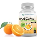 서빙 당 Liposomal 비타민 C 1400mg - 180 Veggie 캡슐 높은 흡수 아스코르브산, Lypo-Spheric 비타민 C 복잡한 면역 지원은 강력한 산화 방지제 및 교원질 승압기를 가진 보충교재를 보충합니다