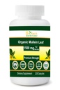 유기 Mullein 잎 1500 mg 서빙 120 야채 캡슐 미국에서 만든