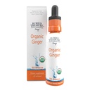 Buried Treasure Ginger Drops - Digestive Support, Upset Stomach Settle Drops, No Sugar, Alcohol Free, Versatile Use for Ginger Tea 또는 Direct consumption, 30 서빙