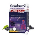 Sambucol 감기와 불 구호 정제 - Homeopathic 찬 약, 성인, 감기를 위한 까만 Elderberry, 아연 찬 Remedy - 60 조사