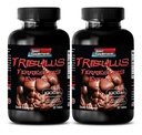 남성 성 긴 및 강한 약 - TRIBULUS TERRESTRIS EXTRACT 1000MG - MUSCLE STRENGTH, 남성 불 임 부스터, 남성 리비도 알 약, 남성 성 알약, 남성 증진, 체력 부스터, 2B 120 정제