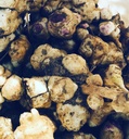 유기 예루살렘 Artichoke Tubers (Helianthus tuberosus) - Sunchokes, Sunroot 또는 Jerusalem Artichoke Planting 또는 Eating - 5 Tubers by Smoke Camp Crafts