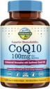 Terranics CoQ10 100mg, 120 Softgels의 여분 처녀 올리브 기름, 심장 건강 & 에너지 생산을 가진 흡수