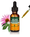 허브제약은 면역 체계 지원을 위한 유기 황금 Echinacea 액체 추출물을 증명했습니다 - 1 Ounce (DGOLDEN01)