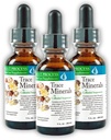 콜라이드 서스펜션 (3 팩) Morter HealthSystem Best Process Alkaline - Nutrient Dense Trace Elements, Fulvic Minerals 및 아미노산의 미네랄