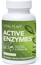 Vital Plan Active Enzymes Supplement by Dr. Bill Rawls - Gut Health & Digestion - Protease, Bromelain, Lactase, Amylase & Lipase (120 캡슐)에 대한 소화 효소