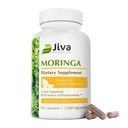 Jiva Botanicals Moringa Leaves Extract Capsules - Moringa Leaf Powder 및 Oleifera Supplement for Immune 및 Normal Joint Support - 90 캡슐 (1 팩)