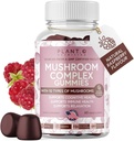 버섯 Gummies 프리미엄 보충 [10 버섯 복합 추출물] 맛있고 빠른 Acting Lion 's Mane, Reishi, Shiitake Nootropic Support, 면역 지원, 무드 & Relaxation, 60 Chews