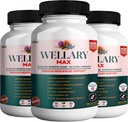 Wellary 최대 Menopause 지원 보충교재, 40 Billion CFU Probiotic 혼합, 90의 캡슐 (3)