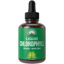 Chlorophyll 액체 하락 - 매우 높은 순수성, 알콜 자유로운, 비 GMO, 글루텐 자유로운 액체 Chlorophyll 하락 보충교재. 물로 가져 가라. 내부 탈취제 + 피부 관리, 면역, 소화 지원