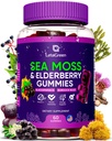 아일랜드어 Sea Moss Gummies - Bladderwrack Burdock Root Elderberry 비타민 C 및 아연 - 성인 어린이 남성 여성을위한 60 Vegan Seamoss Gummy Bear - Multimineral Elderberry 비타민