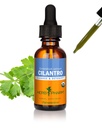허브 Pharm 정화 및 해독 지원을위한 유기 Cilantro 추출물 - 1 Ounce