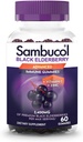 Sambucol Black Elderberry Gummies - 성인, Sambucus Gummies, Immune 지원을위한 아연 및 비타민 C가있는 엘더 베리 - 60 조사