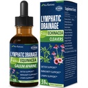 Lymph System Detox Cleanse, Lymphedema Support Supplement Formula w/Echinacea, Cat's Claw, Red Clover Extract Tincture, Lymph Massage Tool과 함께 사용하십시오. 2oz