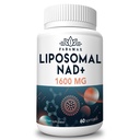 1600 mg Liposomal NAD 보충교재, 98% 순수한 NAD+ 보충교재, 나이 드는 방위, 에너지, 경도, 60 Softgels를 위한 NAD+를 밀어주는 Nicotinamide Riboside 또는 NADH에 우량한 흡수, 대안