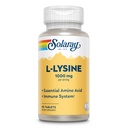 SOLARAY L Lysine - 자유로운 모양 정유 아미노산 - 1000mg L-Lysine, 1000mg 비타민 C 및 25mg 킬레이트 아연을 가진 면역 지원 보충교재 - 실험실 Verified, 60 일 보장, 30의 서빙, 90의 정제