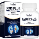 Superoxide Dismutase 보충교재 500mg - SOD 플러스 liposomal glutathione, AKG, 녹차 추출물, L 아르기닌, 리진, 레스버라트롤 및 비타민 E Immune 지원, 산화 방지제 60 캡슐