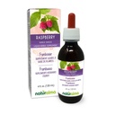 Naturalma 라즈베리 (Rubus idaeus) 잎 알코올 - 무료 탄약 - 드롭 4 fl oz 액체 추출물 - 초본 보충 - Vegan