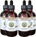 Echinacea 알콜 자유로운 액체 추출물, Echinacea (Echinacea Angustifolia)에 의하여 말린 뿌리 글리세라이드 하와이 Pharm 자연적인 초본 보충교재 4x4 oz
