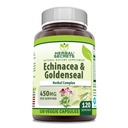 허브 시크릿 Echinacea & Goldenseal 뿌리 보충교재 | 450 Mg Per 서빙 | Veggie Capsules | Non-GMO | 글루텐 프리 | 미국에서 제작 (120 Count)