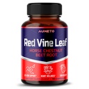 말 Chestnut, Beetroot, Ginger - Vein Strength 및 Circulation Wellness- Made in the USA (90 Count (Pack of 1))