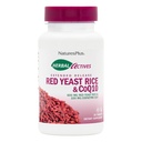 NaturesPlus 초본 활성 레드 효모 쌀 600mg & CoQ10 100mg, 확장 된 릴리스 - 30 Vegan 정제 - 최대 효능 보충, 산화 방지제 - 채식주의 자, 글루텐 - 무료 - 30 서빙