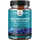 비타민 B3 Niacinamide 500mg 캡슐 - Mitochondrial 에너지와 유력한 피부 보충교재 - AKA 비타민 B3 Niacin 500mg 홍조 무료와 Nicotinamide 500mg - 홍조 자유로운 Niacin 보충교재 - 240 조사