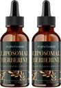 Liposomal Berberine Drops 보충교재 3000mg - 높은 흡수 AMPK 활성제, Ceylon Cinnamon & Ginger를 가진 유기 Berberine HCl Complex Immune & Digestion (4개 fl oz)