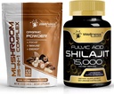 WELLNESS LABSRX 버섯 분말 2000mg - Shilajit 순수한 Himalayan 15,000mg 캡슐