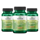 Swanson Lactobacillus Gasseri Probiotic for Adults Seeking Digestive and Metabolic Support with 3 억 CFU - 산성 민감성, 냉동 없음 (60 Vegan 캡슐, 3 팩)