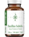Bacillus Subtilis Spore based Probiotic – 균형 잡힌 벨리를 위한 Prebiotic을 가진 고전력 스트레인 | 가족을 위한 매일 Gut Health & Microbiome 지원 | 하루 6억 CFU | 90 채식 캡슐