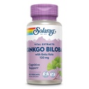 Gotu Kola와 SOLARAY Ginkgo Biloba 추출물 - 뇌 건강 지원을위한 Ginko Biloba 캡슐 - Vegan, Lab Verified, 60 일 보증 - 60 서빙, 60 VegCaps (60 VegCaps)
