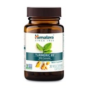 히말라야 심황 95 - 합동 지원과 이동성, 95% Curcuminoids를 위한 Turmeric Curcumin를 가진 초본 보충교재 - Vegan, 비 GMO, 글루텐 자유로운, 600 mg의 30의 캡슐