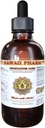 HawaiiPharm Prostate Support Dietary Supplement : Pygeum (Pygeum Africanum) Bark는 Palmetto (Serenoa Repens) Berry, Sting Nettle (Urtica Dioica) 잎 Tincture (Alcohol-Based Liquid Extract) 2 oz를 보았습니다.