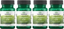 Swanson Oregano Oil 10 : 1 추출물 - 소화 건강 및 호흡 지원 촉진 - 위장 시스템 및 소변 검사 건강 지원 - (120 Softgels, 150mg 각각) (4 팩)