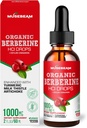 유기 Berberine HCl 1000mg 액체 드롭 - Ceylon Cinnamon Turmeric Milk Thistle Artichoke - 남성 여성을위한 높은 생체 이용성 보충 - Vegan Sugar Free Gluten Free 2fl. oz (60ml)
