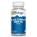 SOLARAY Black Currant Seed Oil 600 mg - 산화 방지제, 감마 Linolenic Acid (GLA), 알파 Linolenic (ALA) 및 Linoleic Acid (LA) 공급 - 피부 건강 지원 - 60 일 보증, 90 Serv, 90 Softgels